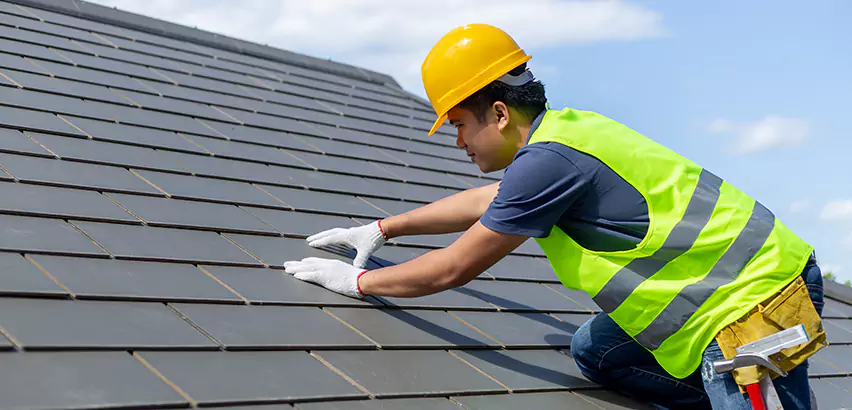 Professional Hail Damage Roof Repair Services in Elmwood Park, IL