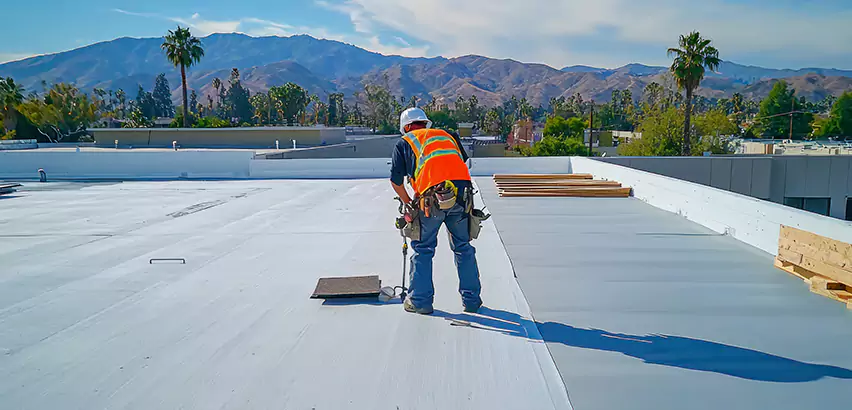 Professional Roof Coating Services in Elmwood Park, IL