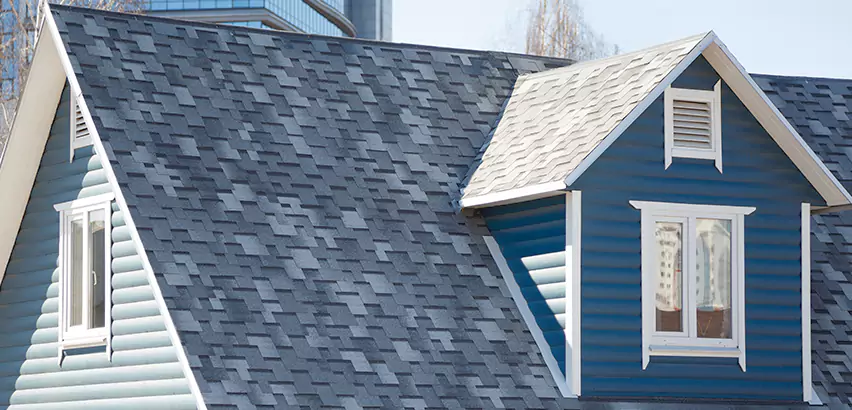 Shingle Roof Maintenance in Elmwood Park