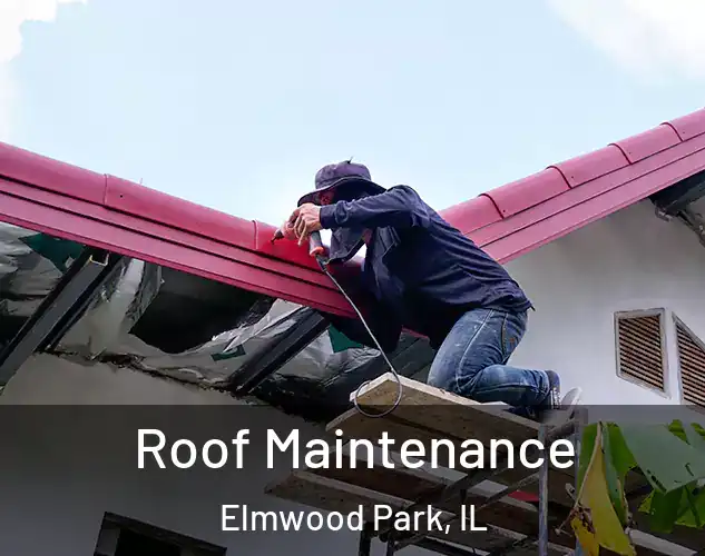  Roof Maintenance Elmwood Park, IL