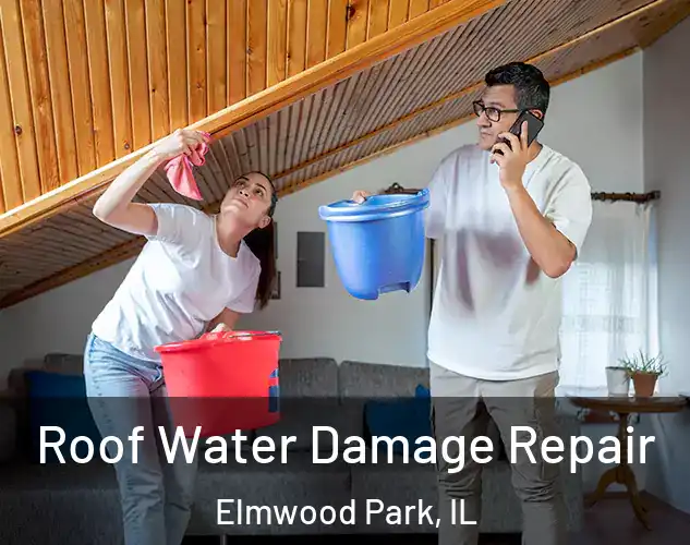  Roof Water Damage Repair Elmwood Park, IL