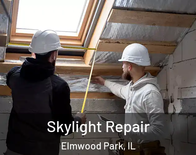  Skylight Repair Elmwood Park, IL