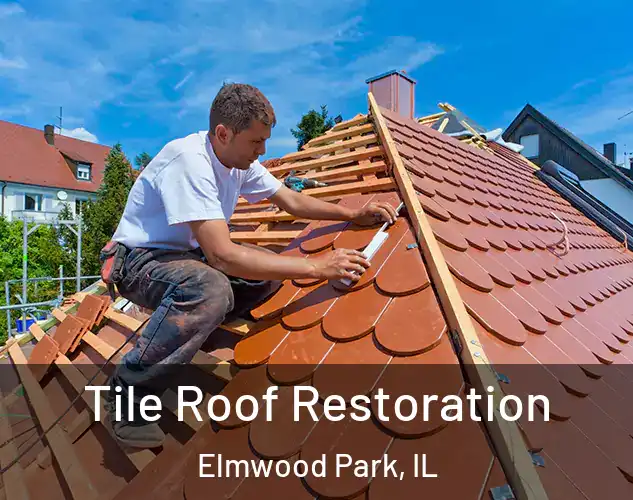  Tile Roof Restoration Elmwood Park, IL